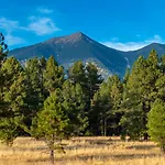 Mt. Elden Adventure