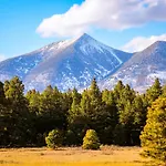 Mt. Elden Adventure