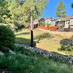 Peace In The Pines