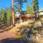 The Holland Home
