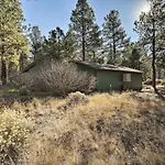 Family-Friendly Forested Home With Snow Play Area!
