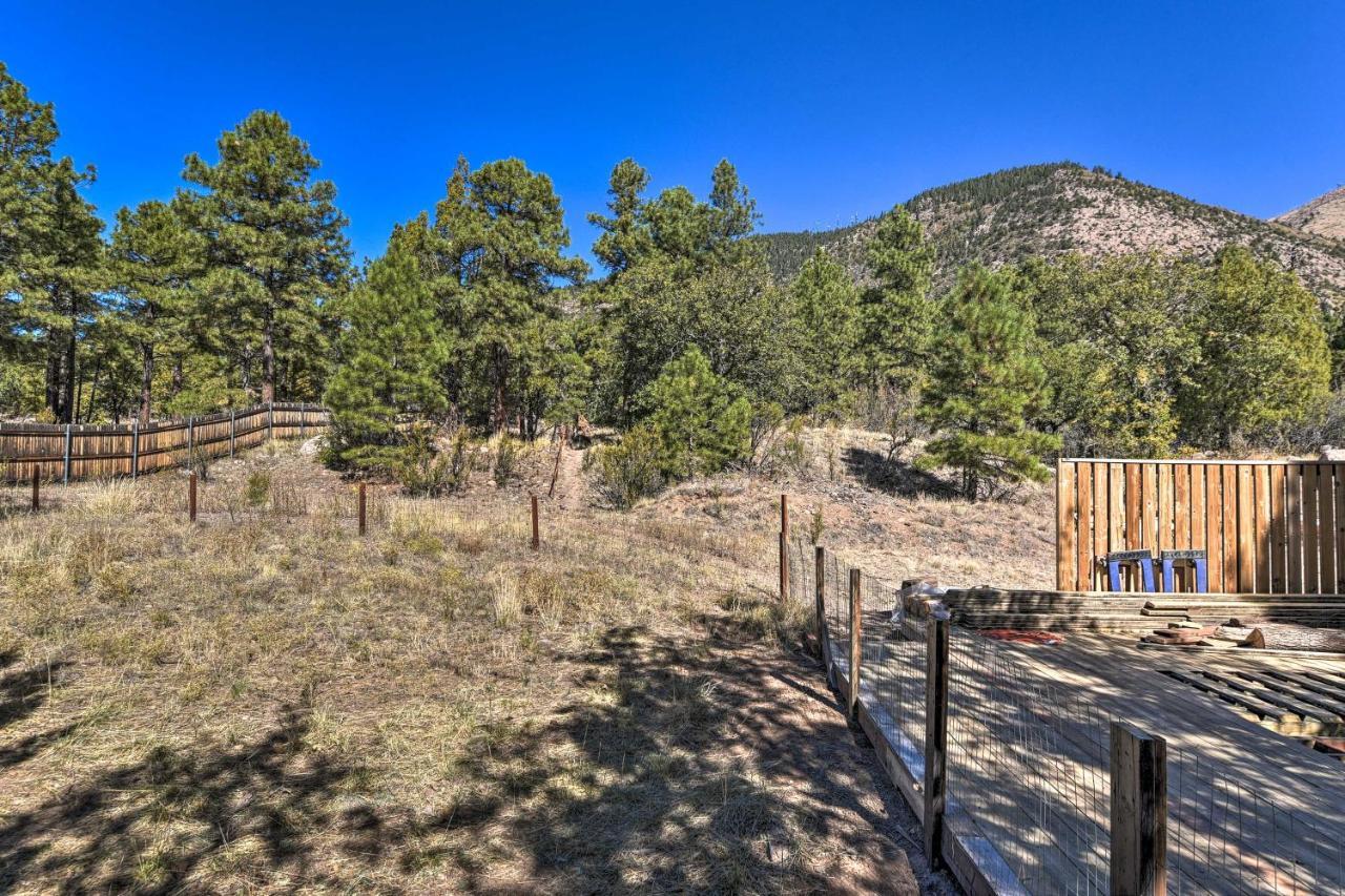 With On-site Trails, 3 Mi To Dtwn! * Flagstaff