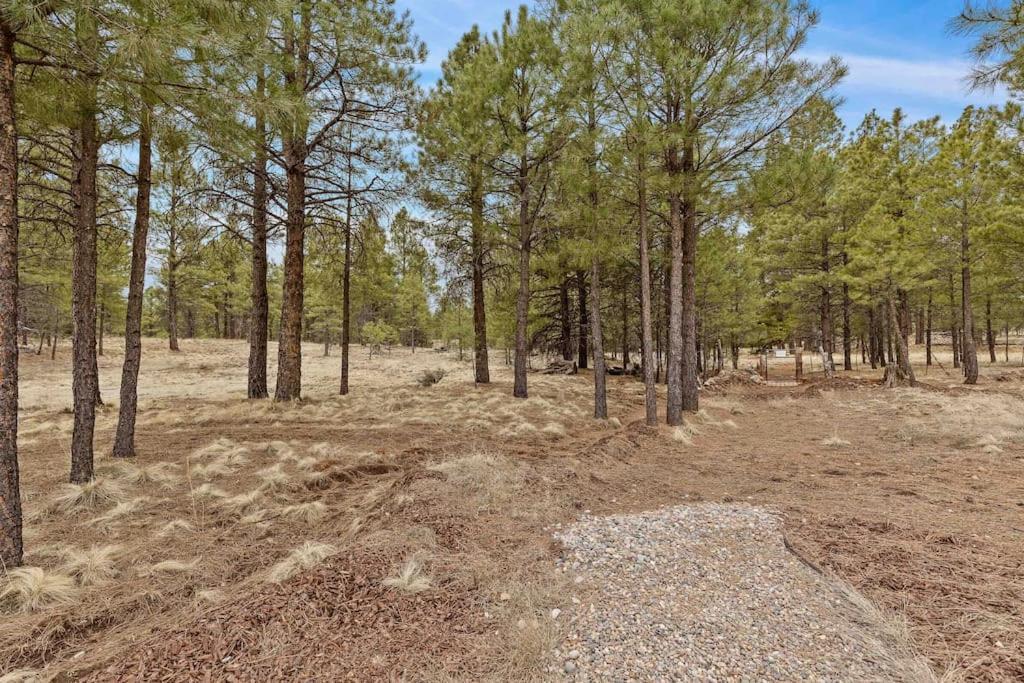 Holiday home The Pink Ponderosa Ranch And For 20