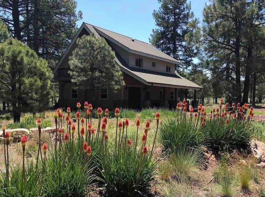 The Pink Ponderosa Ranch And For 20 * Flagstaff