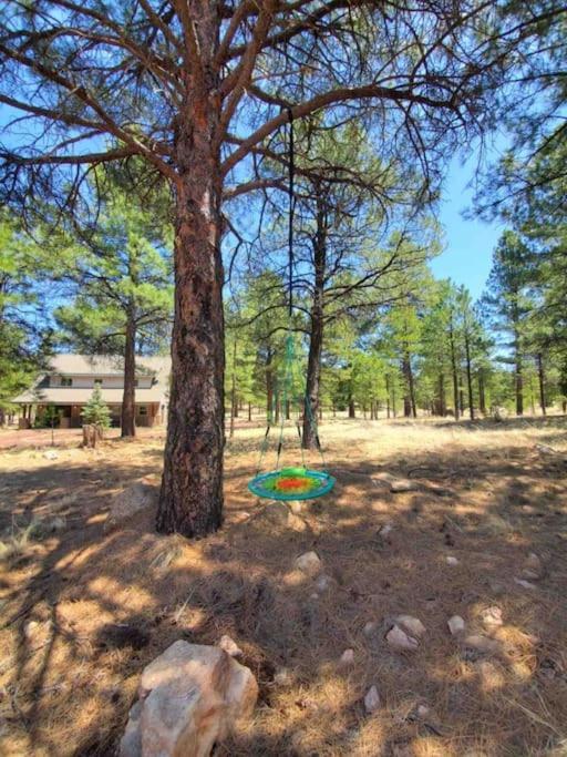 The Pink Ponderosa Ranch And For 20