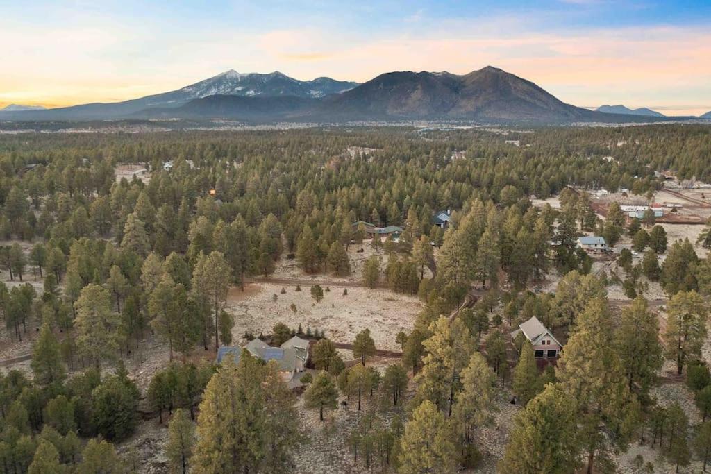 The Pink Ponderosa Ranch And For 20 * Flagstaff