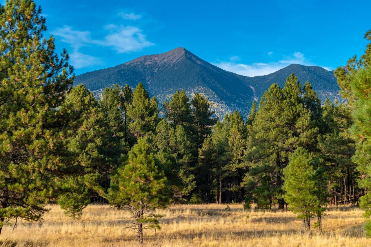 Holiday home Mt. Elden Adventure Flagstaff