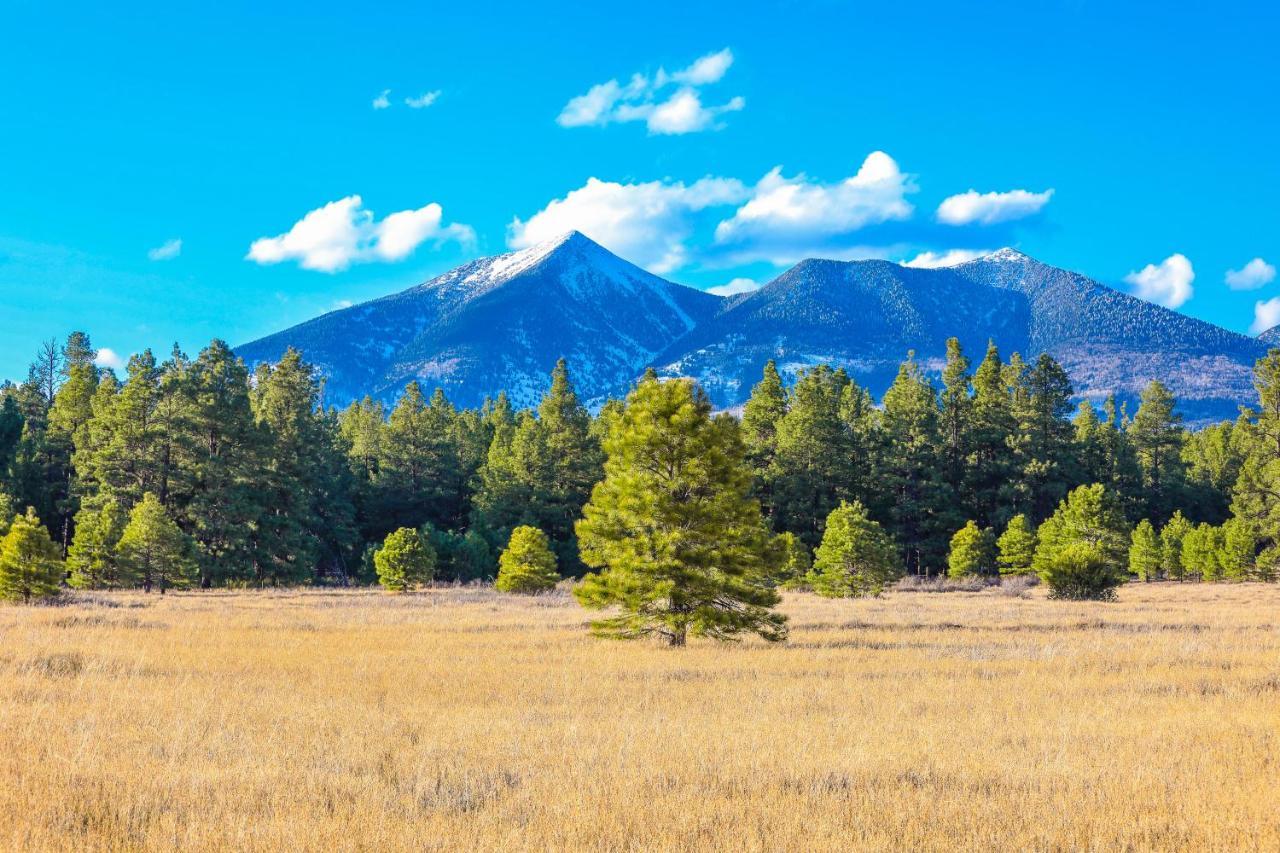 Mt. Elden Adventure Holiday home *