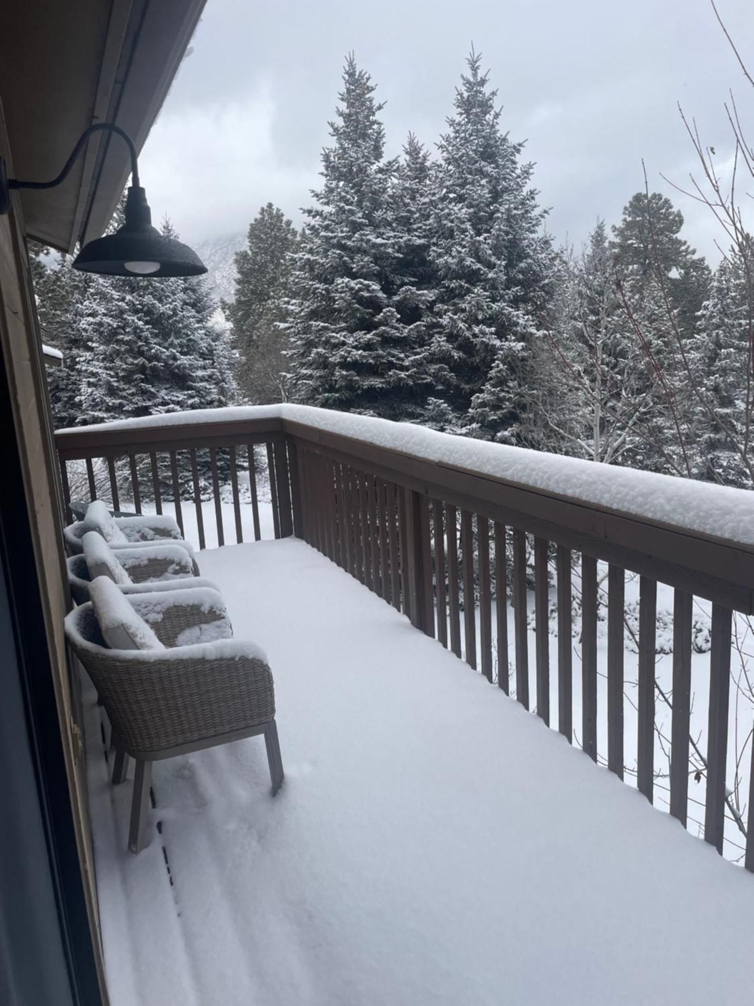 Cozy Retreat In The Pines Mins To Downtown * Flagstaff