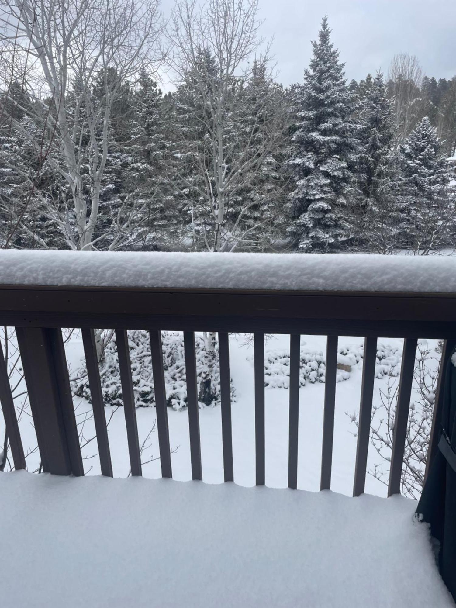 Cozy Retreat In The Pines Mins To Downtown Flagstaff