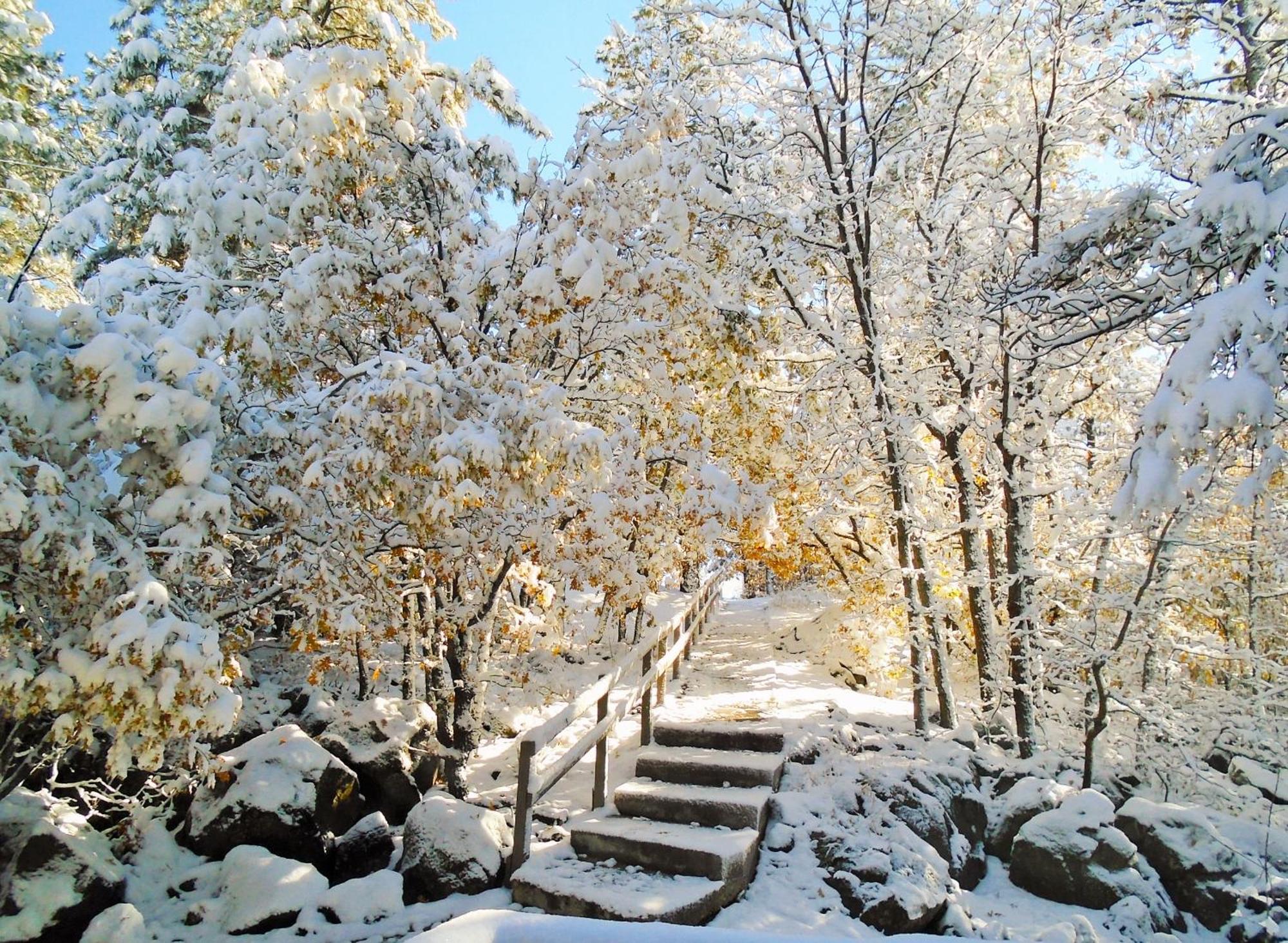 Location! Nature Lovers Getaway - Close To Historic Downtown *