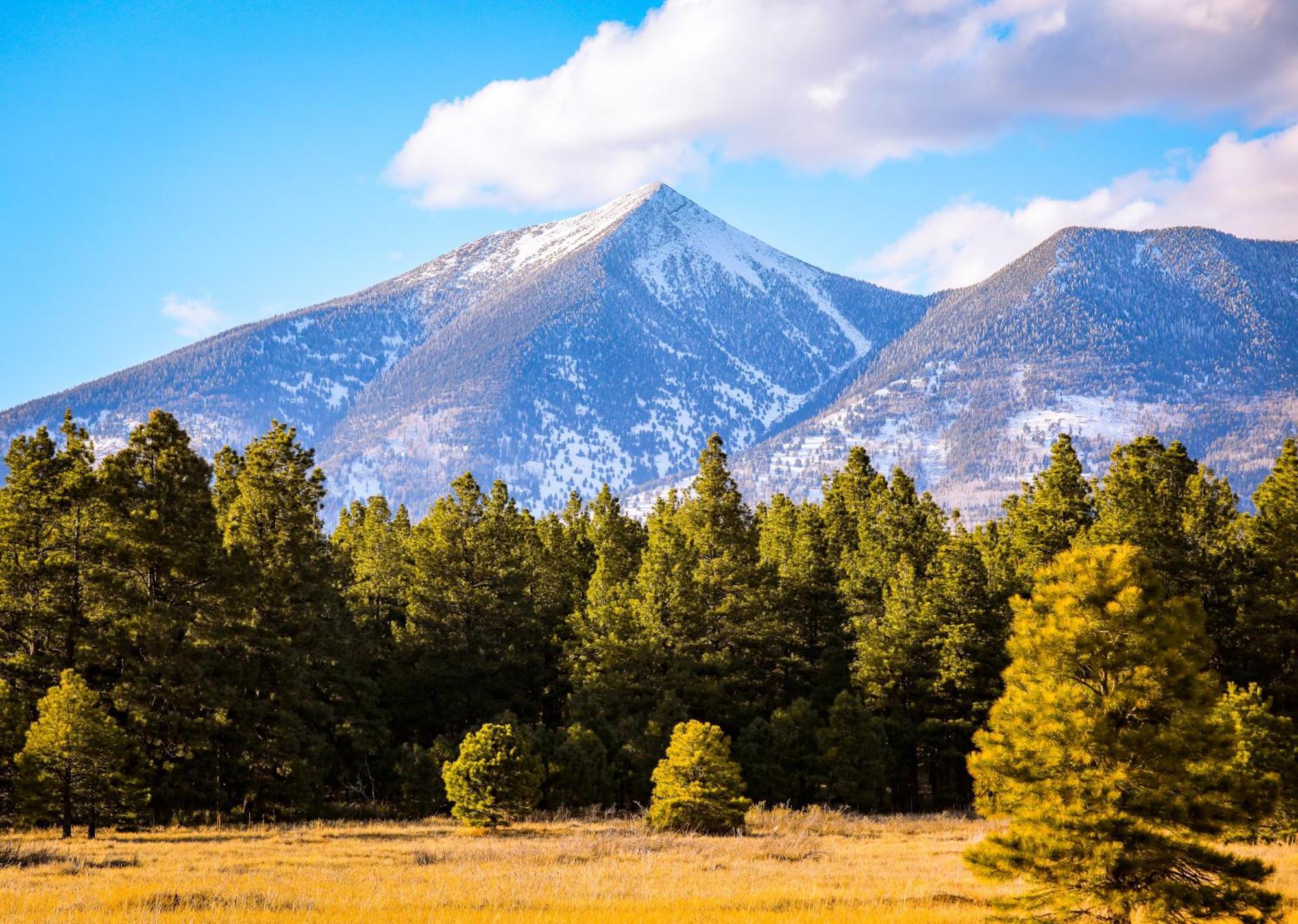 New Adventure Getaway Flagstaff