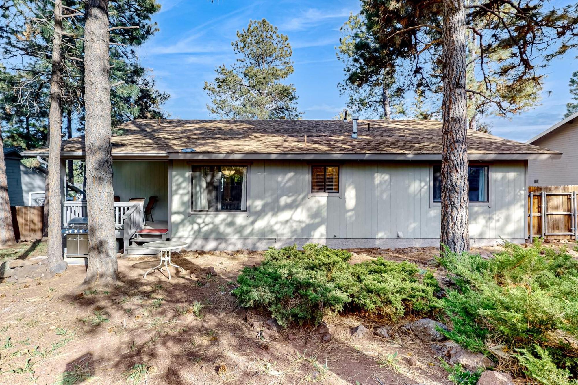 Pine Forest Hideaway