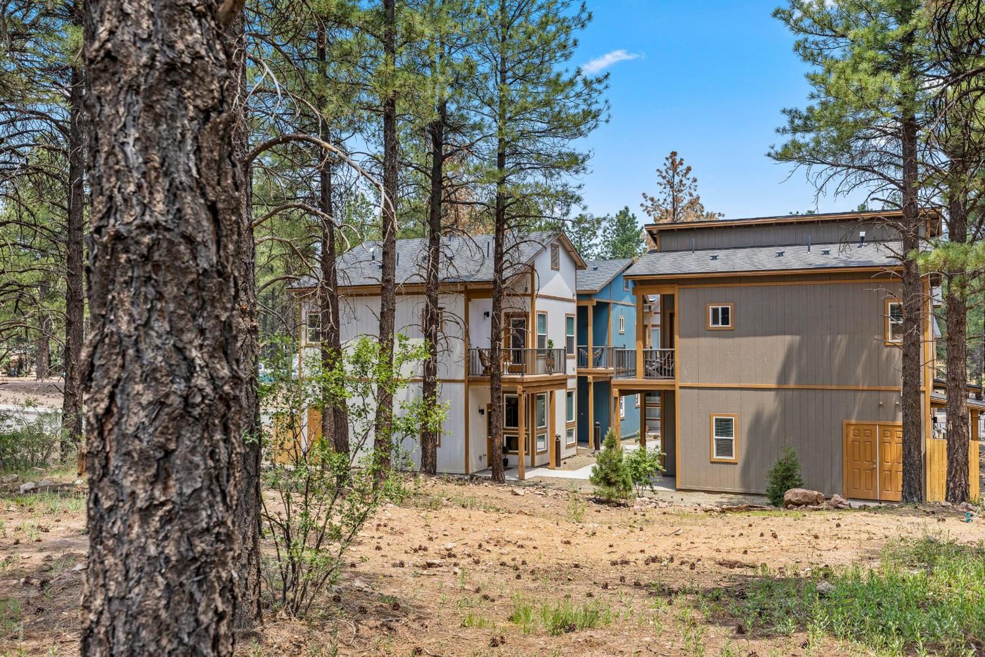 Elegant New Construction With Scenic Forest Views Holiday home *