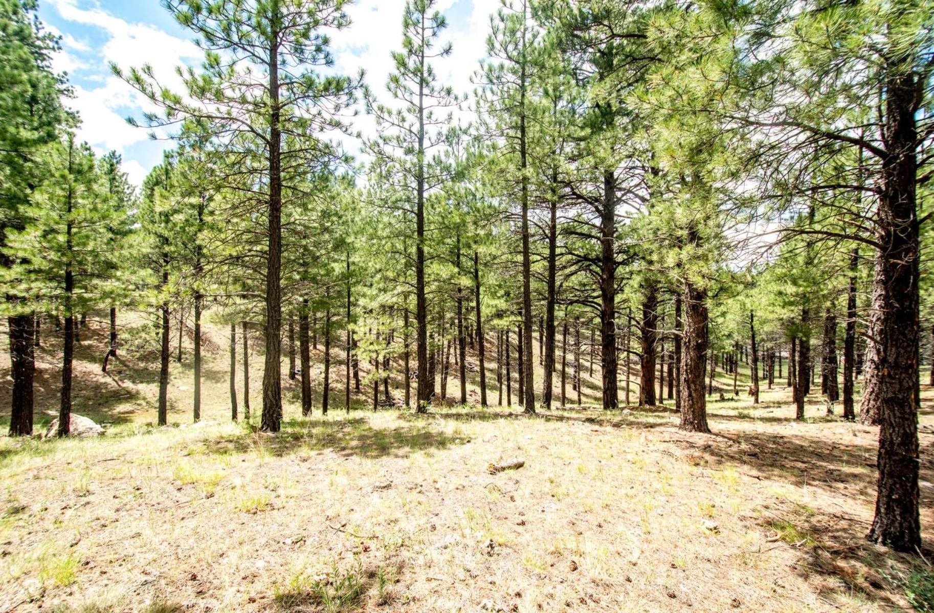Chic Stylish 4 Bedroom Newly Built Town-home Perfect Location * Flagstaff