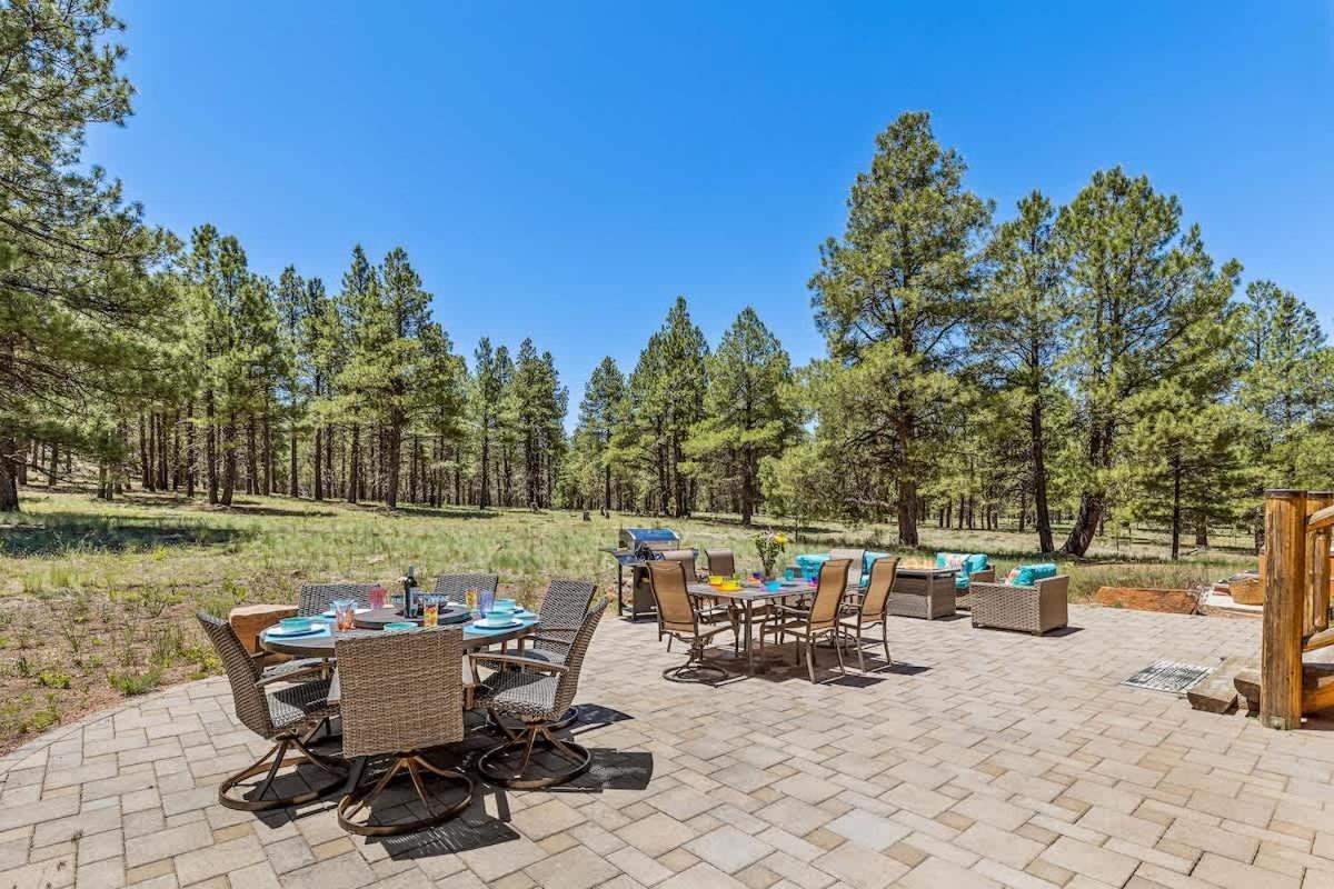 New Cozy Updated Hottub Theater National Forest *