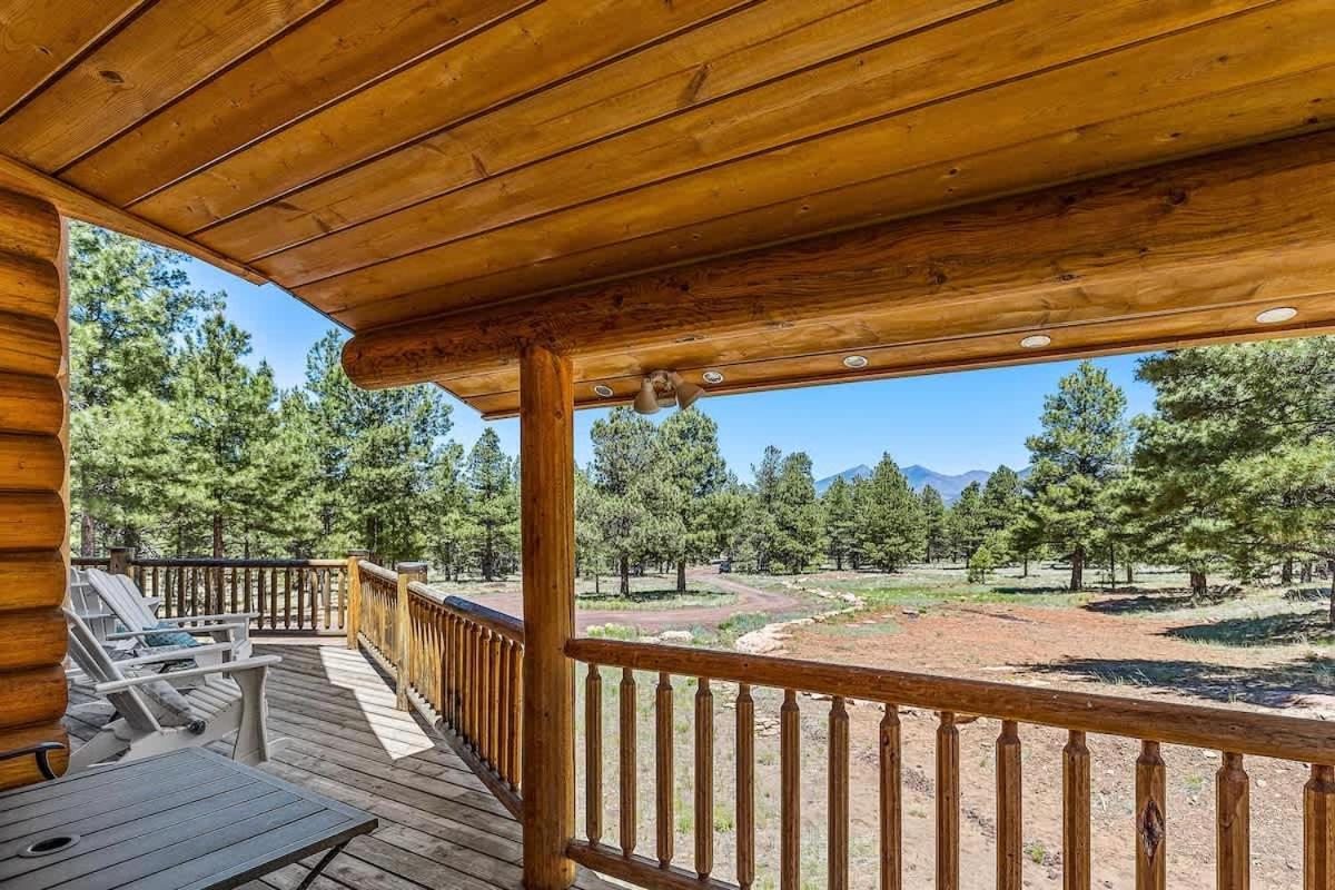 New Cozy Updated Hottub Theater National Forest