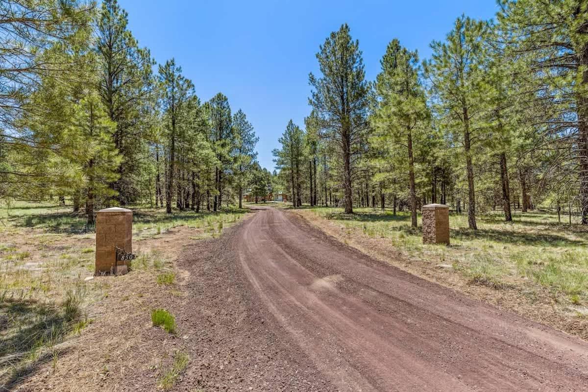 New Cozy Updated Hottub Theater National Forest * Flagstaff
