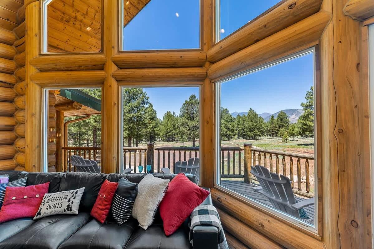 New Cozy Updated Hottub Theater National Forest Holiday home *