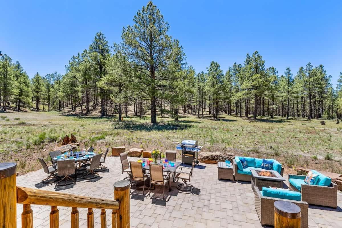 New Cozy Updated Hottub Theater National Forest Holiday home Flagstaff