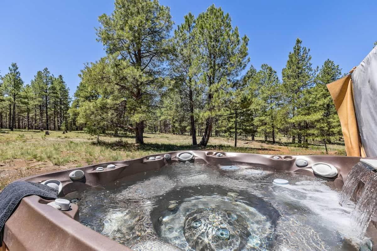 New Cozy Updated Hottub Theater National Forest * Flagstaff