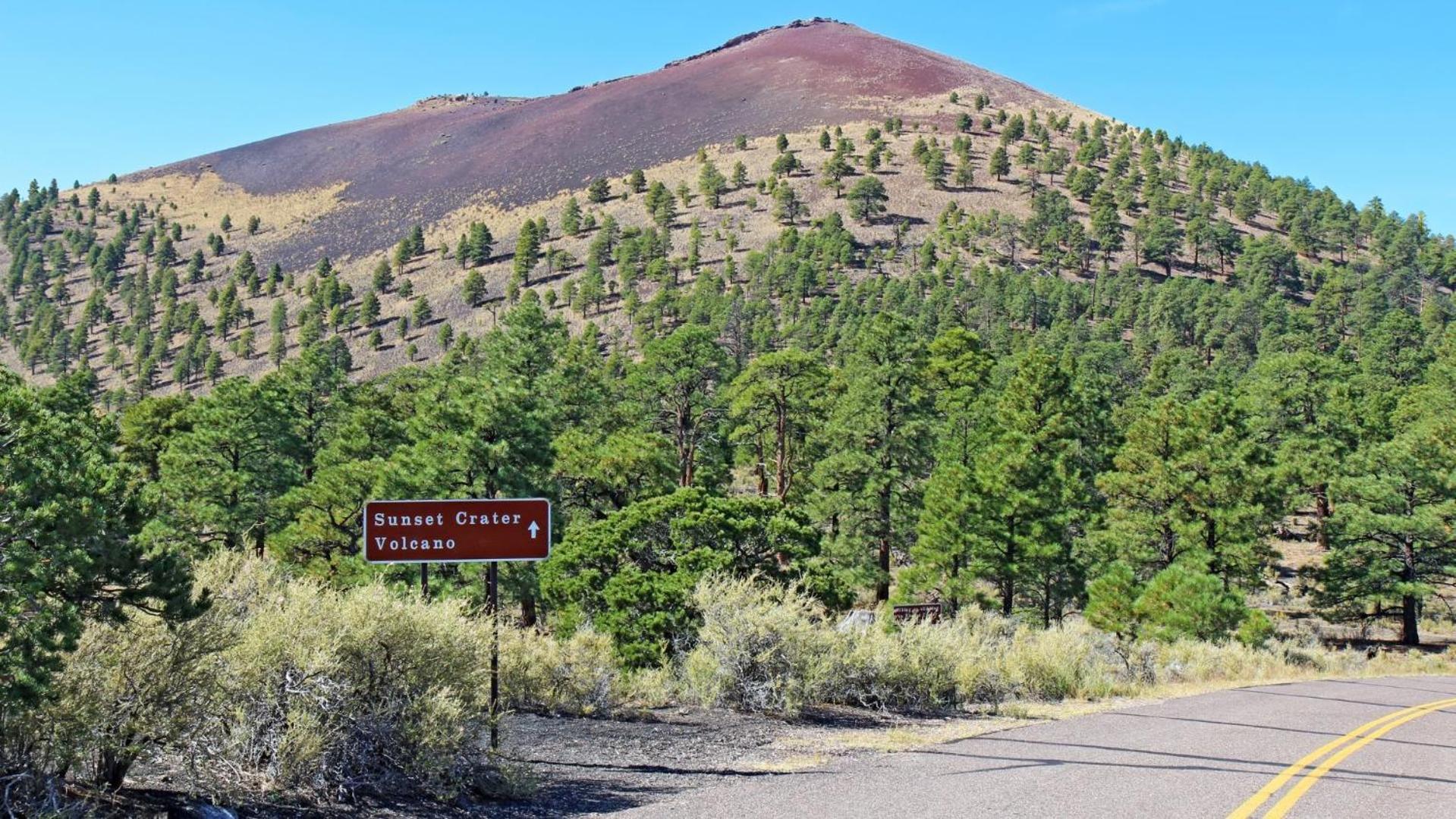 Ponderosa Escape Stunning Location Incredible Game Urban Trail System Ac Ev-charger