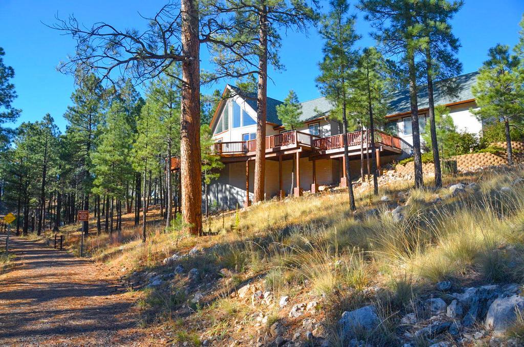 The Holland Holiday home