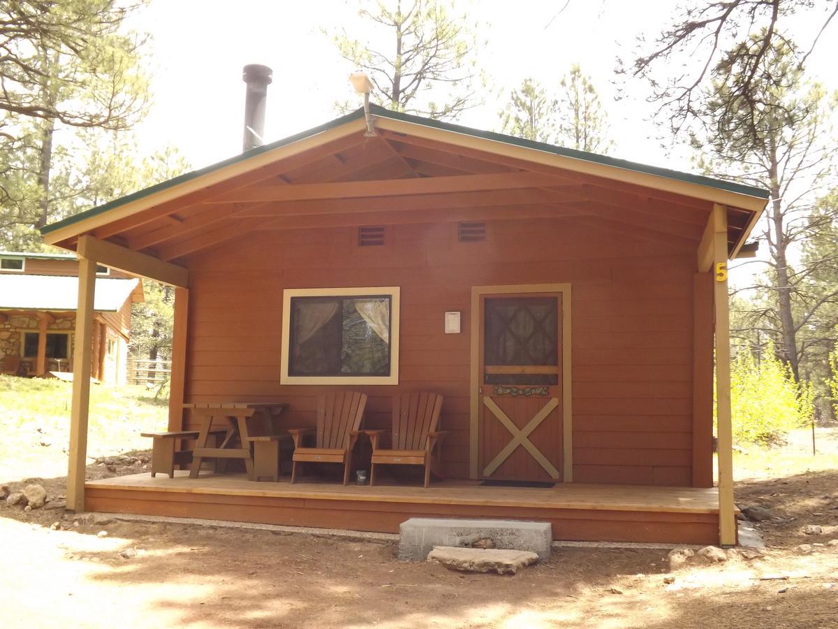 Arizona Mountain & 2* Flagstaff