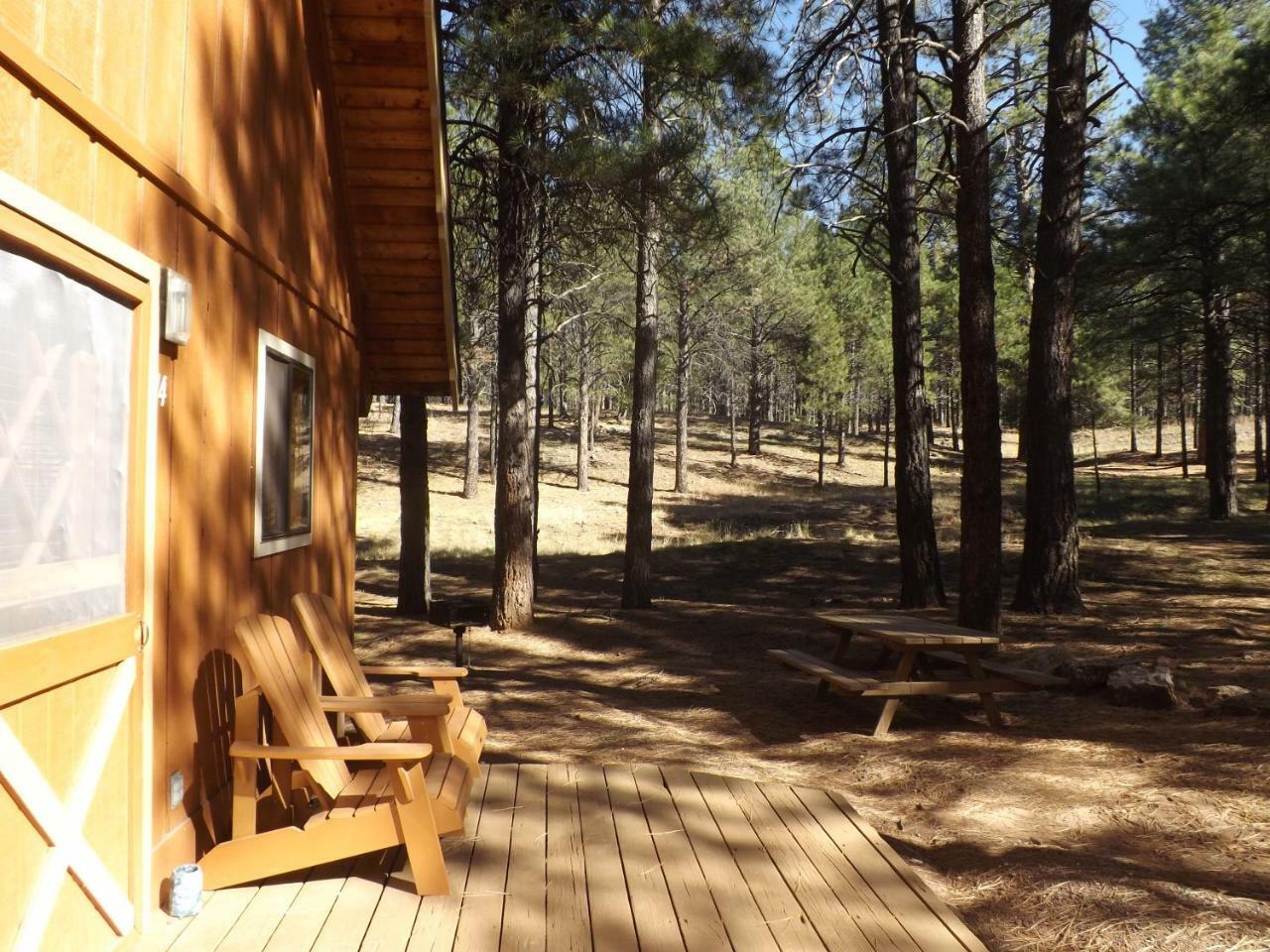 Arizona Mountain & 2* Flagstaff