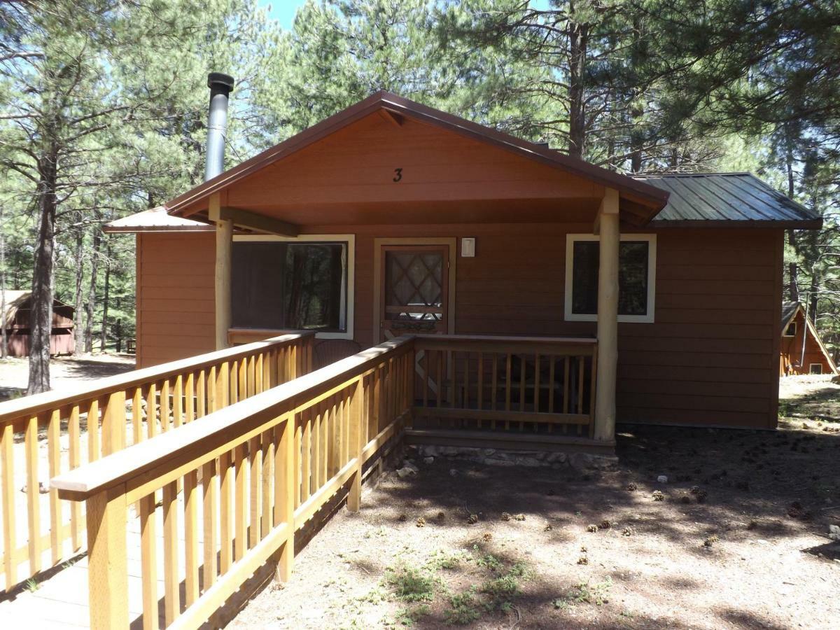 Arizona Mountain & 2* Flagstaff