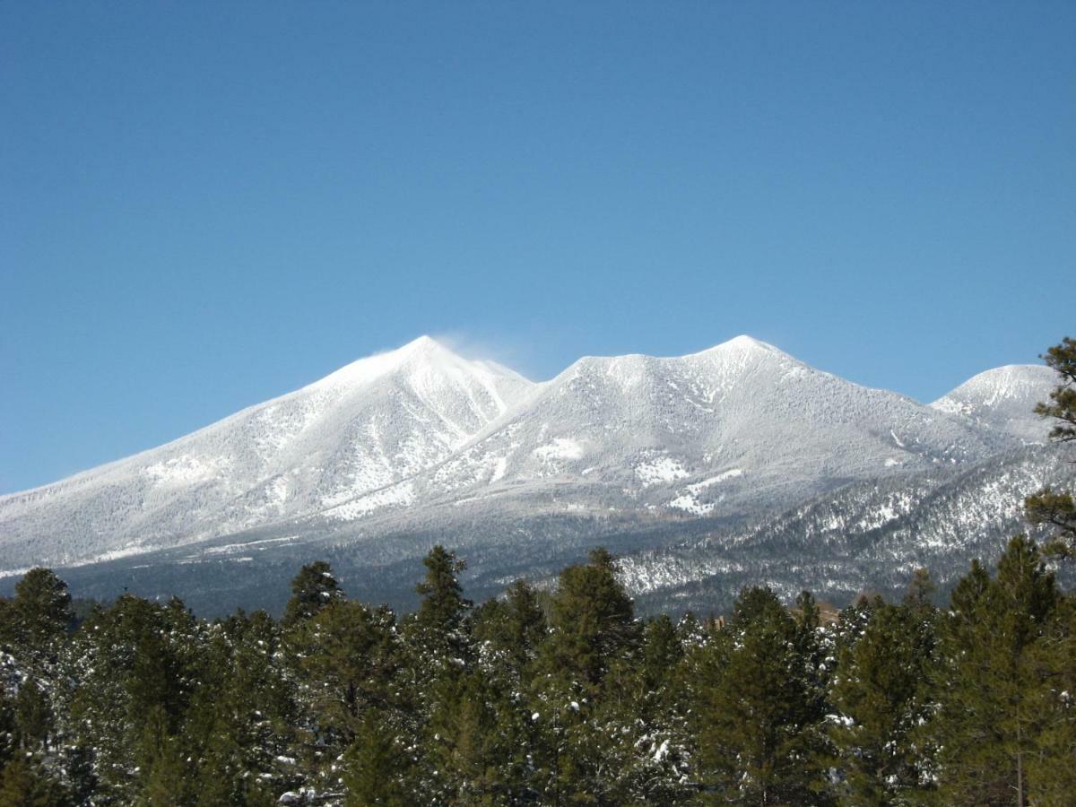 Holiday home Location! Nature Lovers Getaway - Close To Historic Downtown *