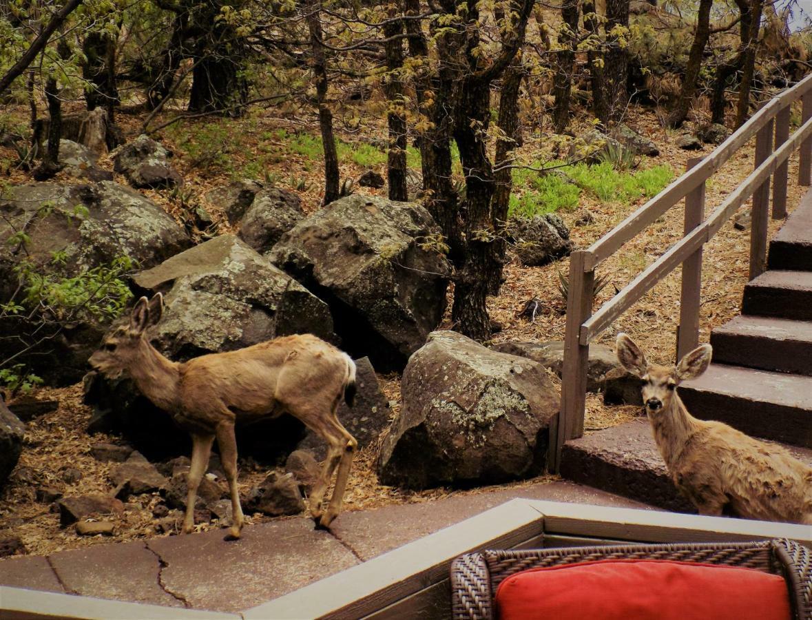 Holiday home Location! Nature Lovers Getaway - Close To Historic Downtown