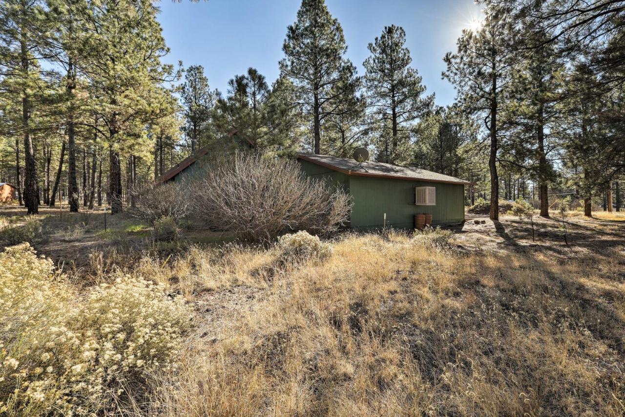 Family-friendly Forested With Snow Play Area! *