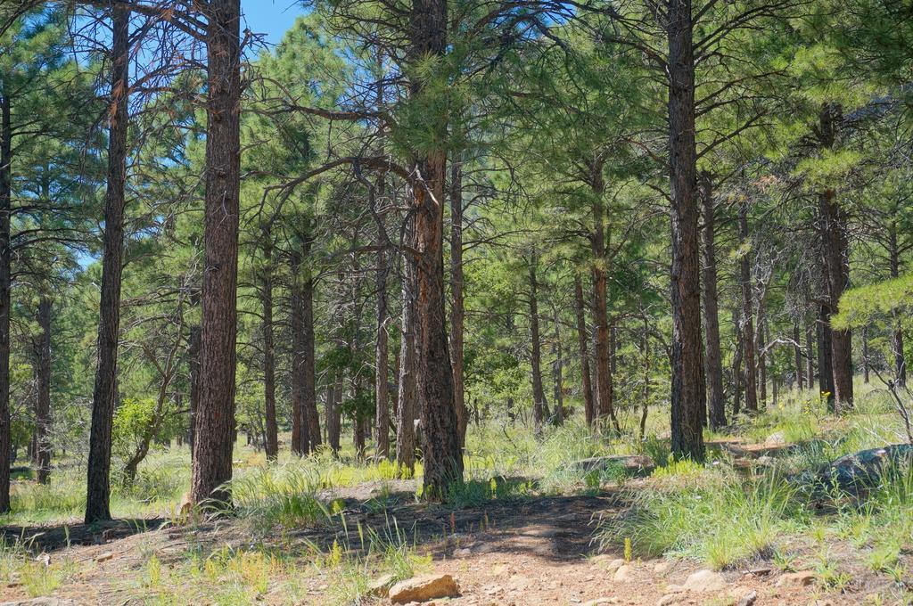 Bed & Breakfast Elden Trails