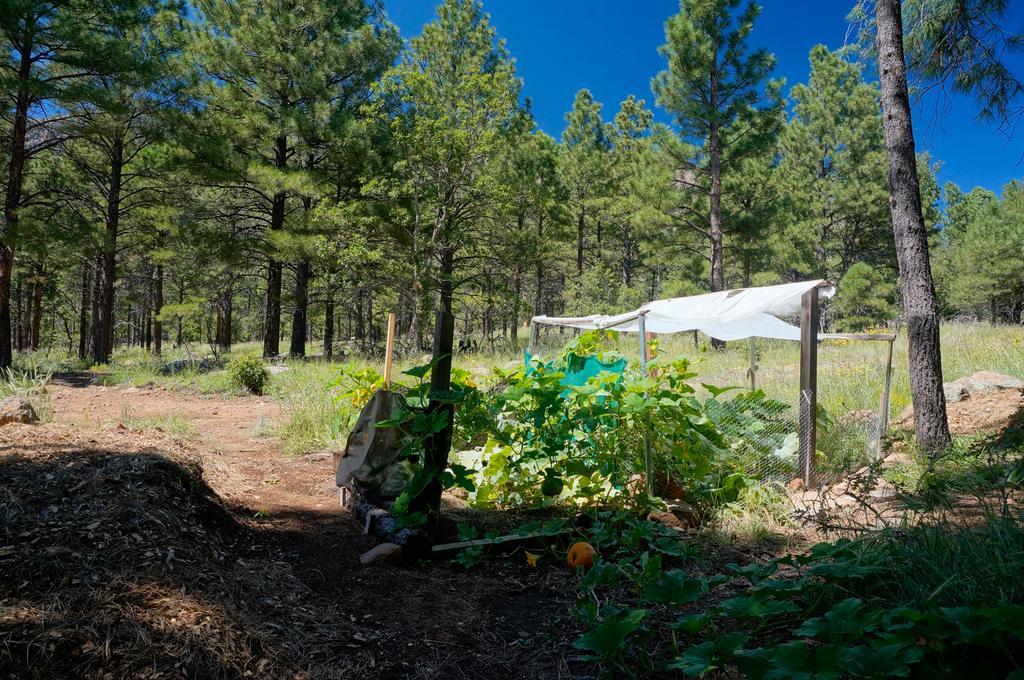 Elden Trails Bed & Breakfast
