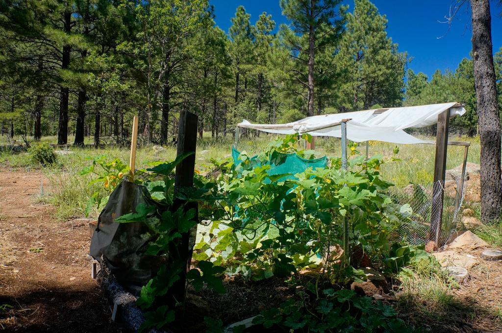 Bed & Breakfast Elden Trails 3*