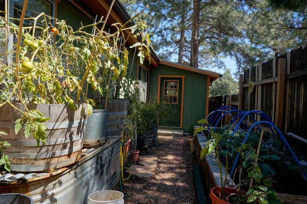 Elden Trails Flagstaff