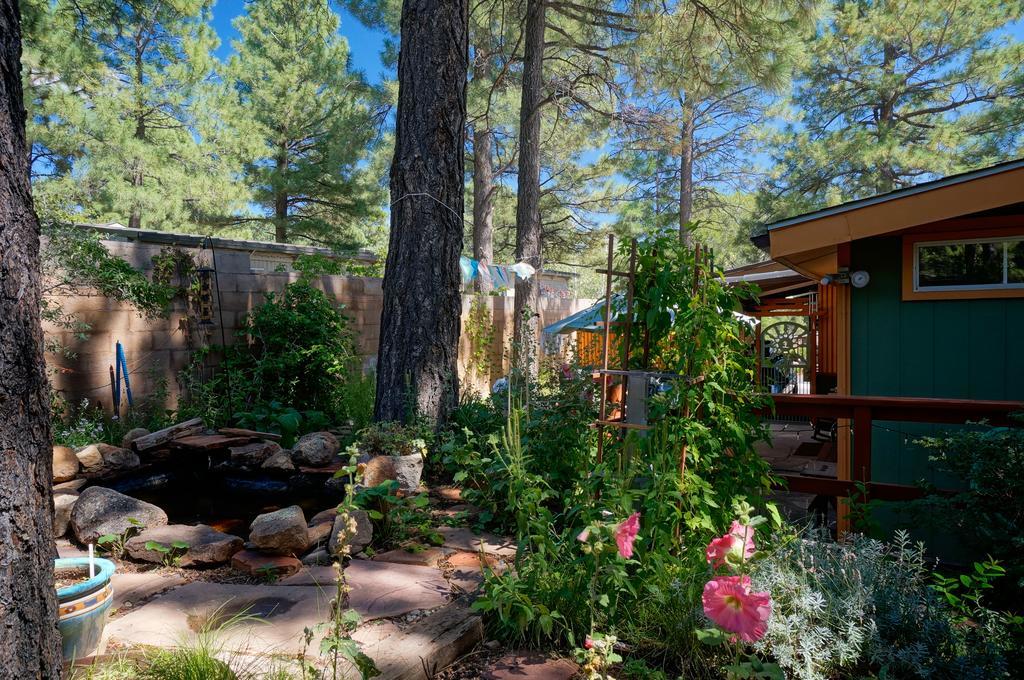 Elden Trails 3*