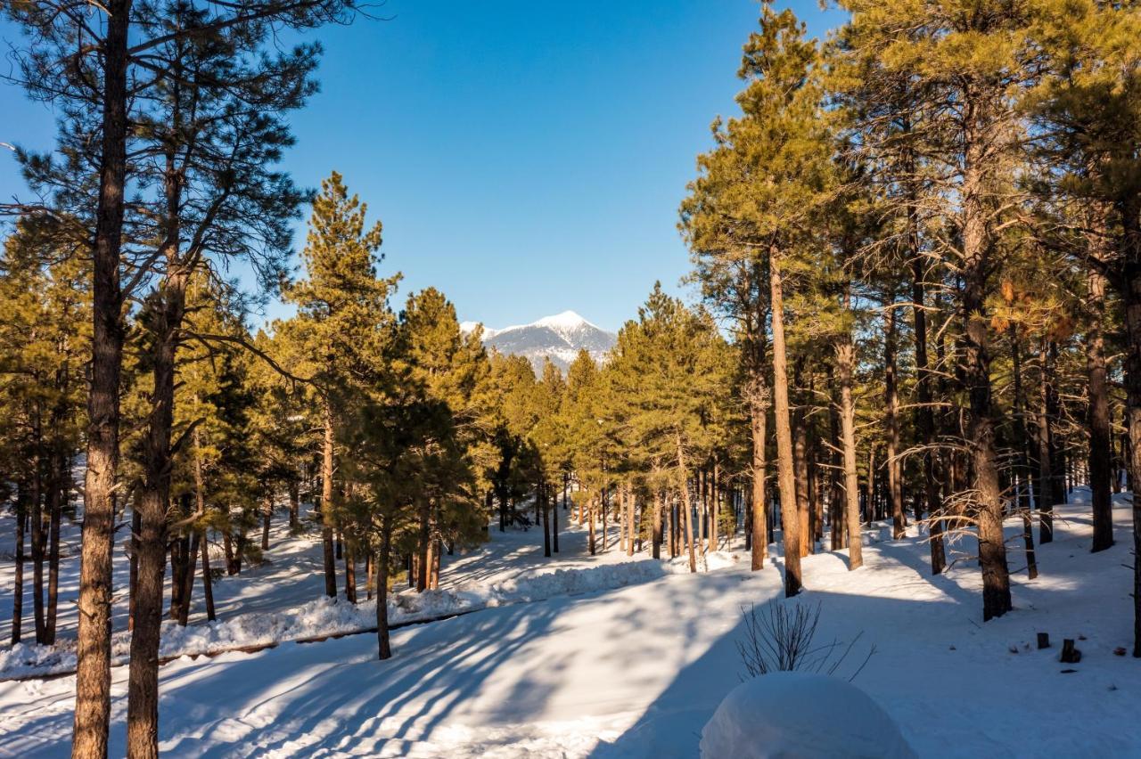 Coyote Pass Holiday home *