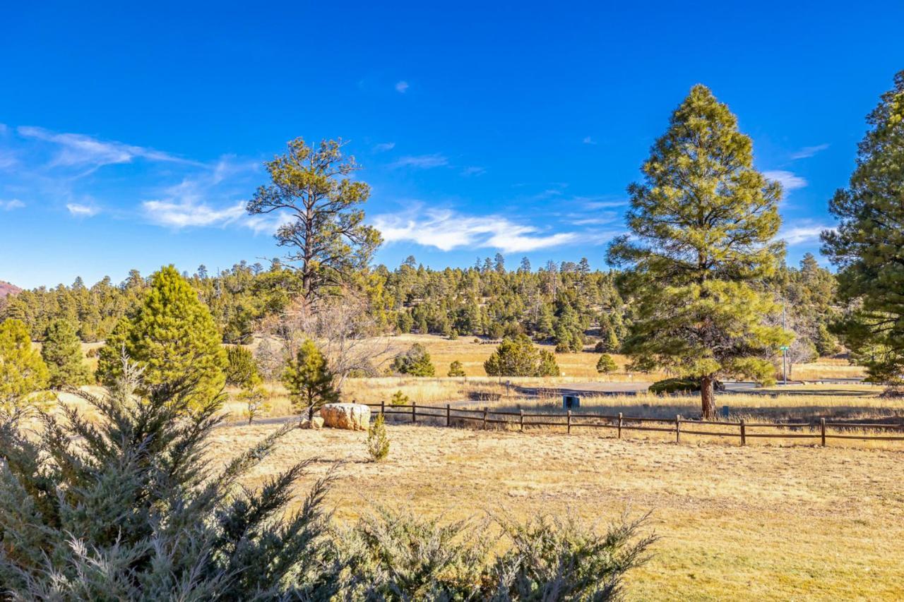 Bear Paw Flagstaff