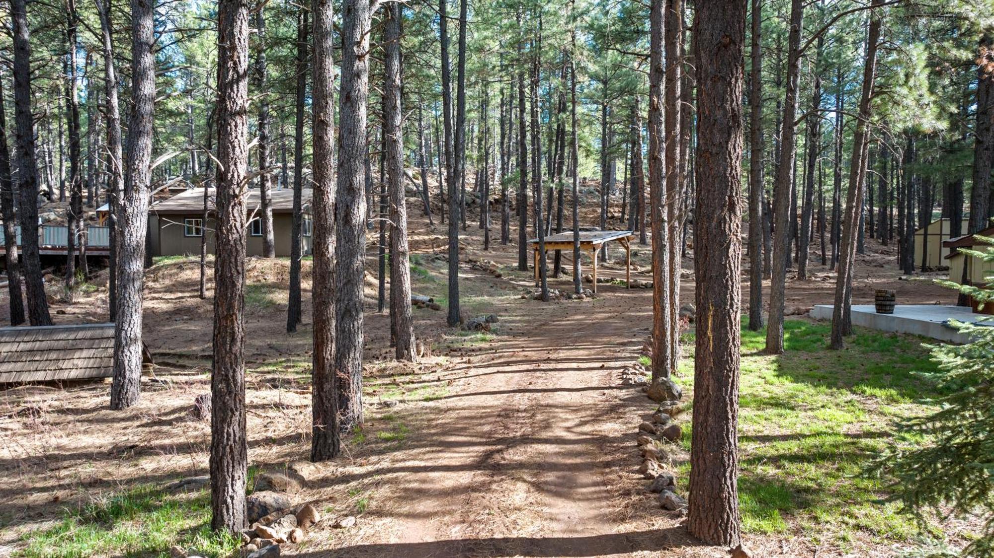 The Cozy * Flagstaff