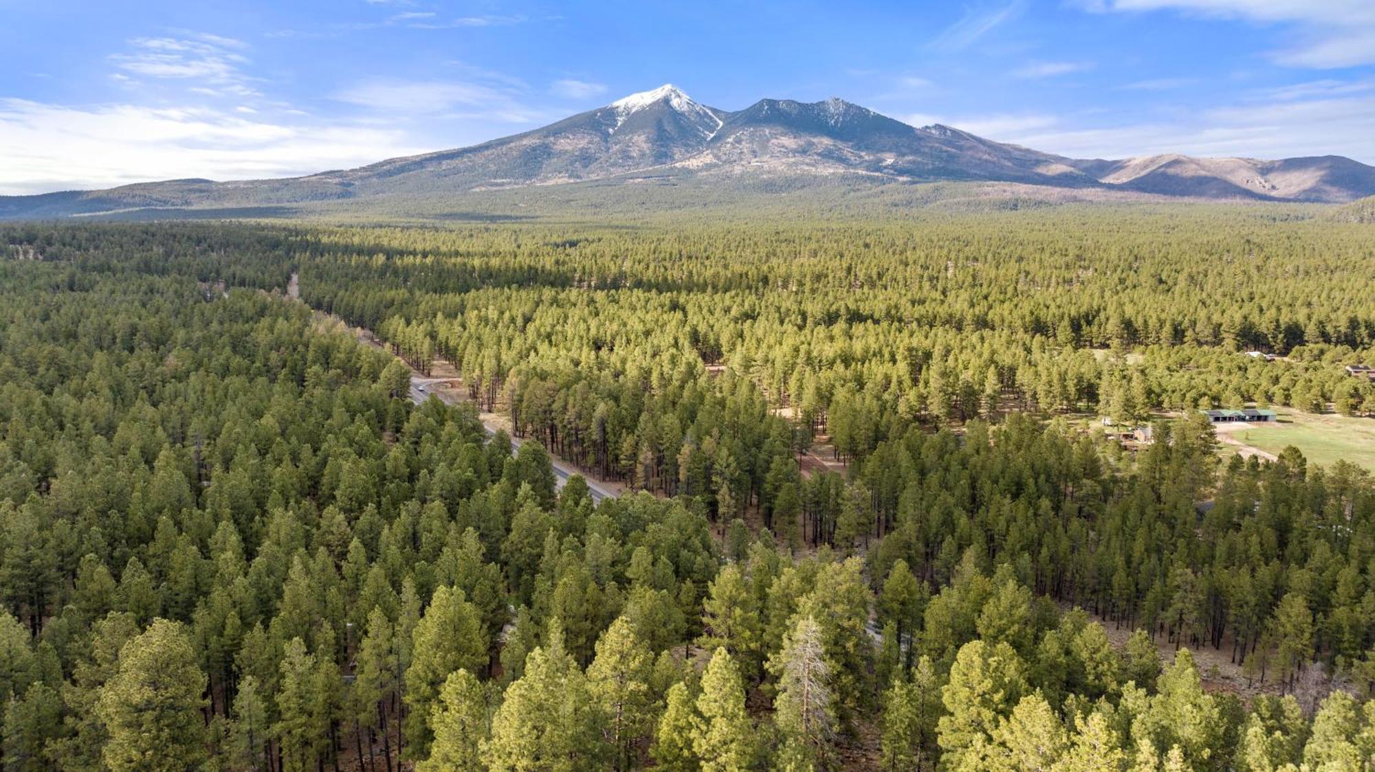 The Cozy * Flagstaff