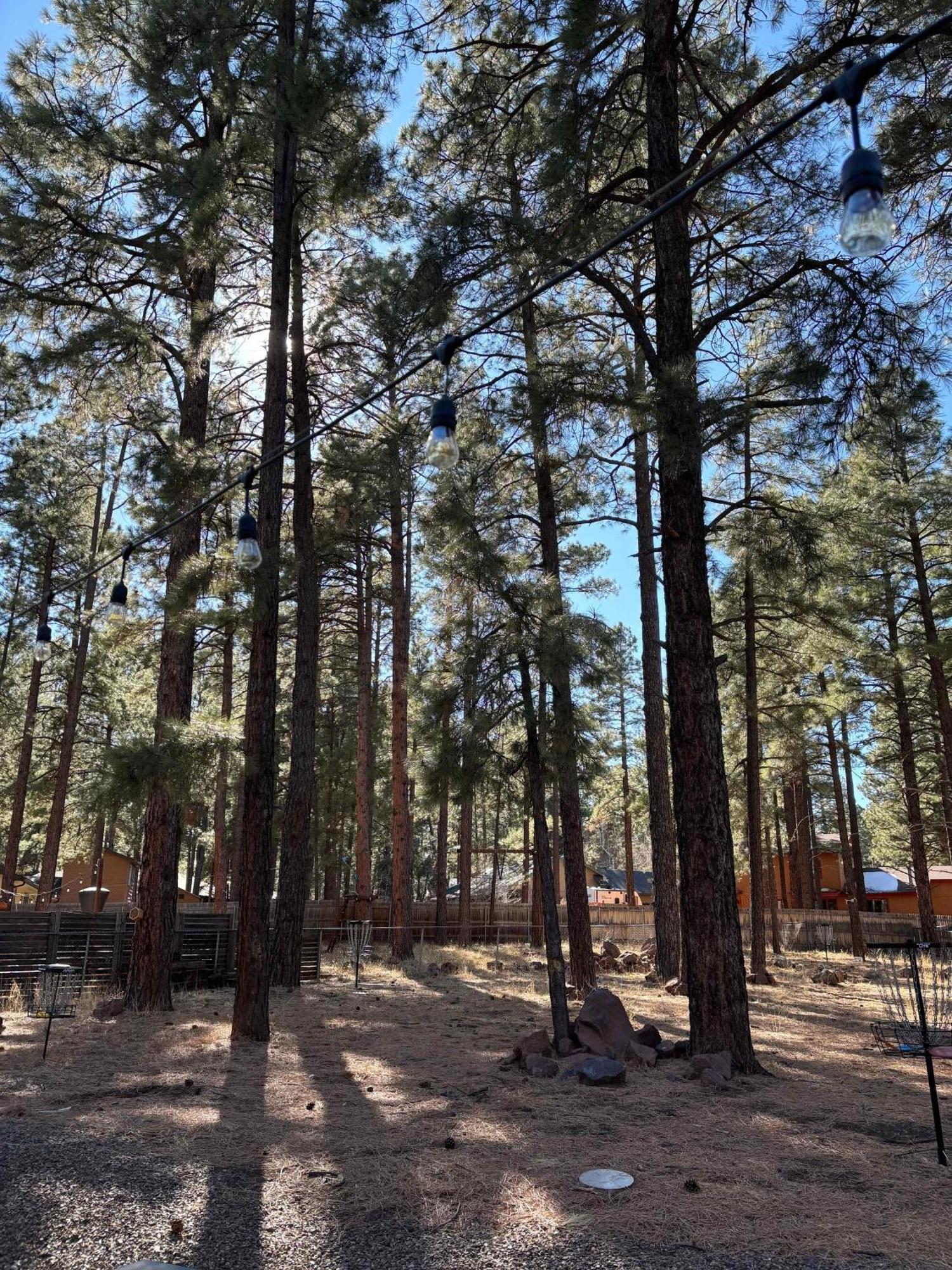 The Eagles Nest With Hot Tub Holiday home Flagstaff