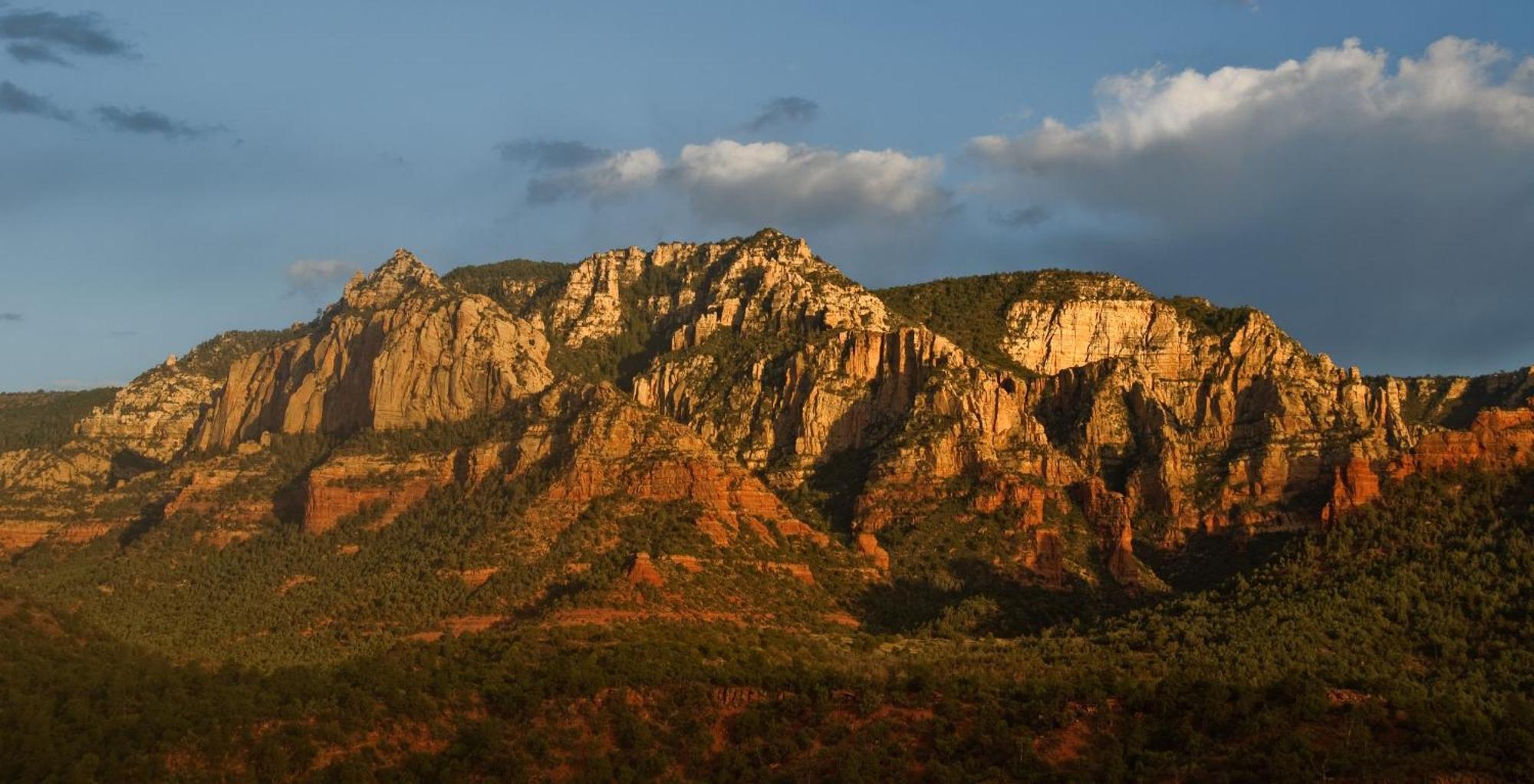 Ponderosa Escape Stunning Location Incredible Game Urban Trail System Ac Ev-charger Holiday home Flagstaff