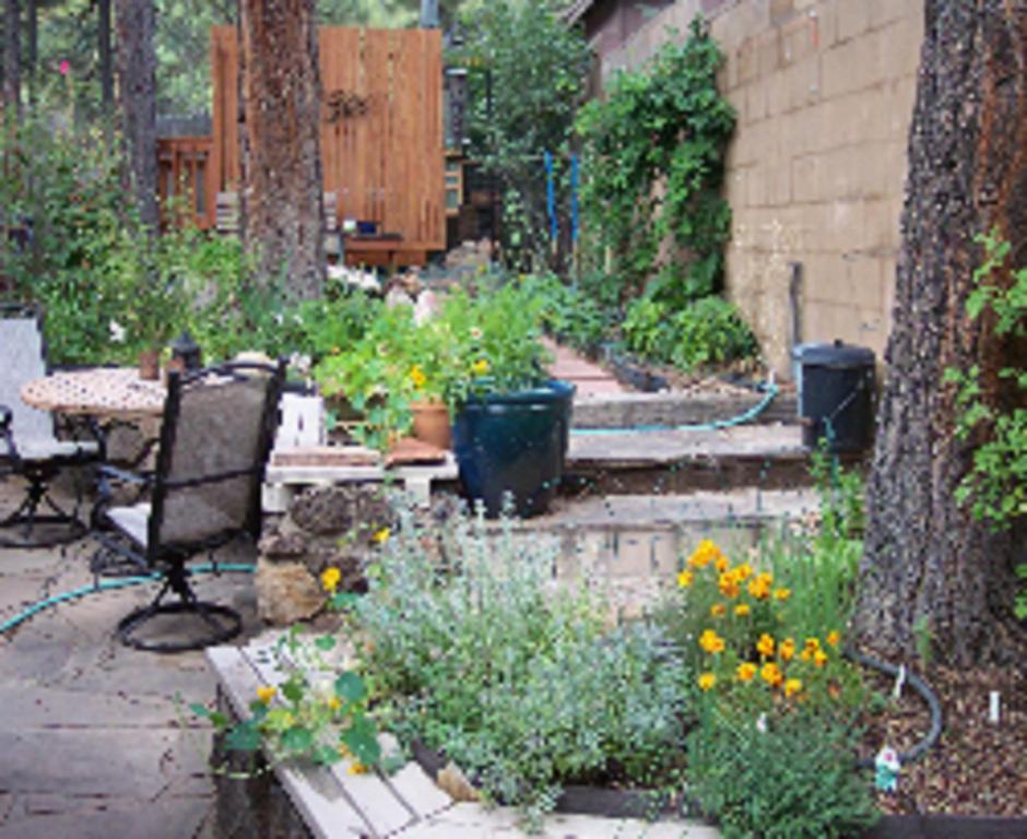 Elden Trails 3* Flagstaff