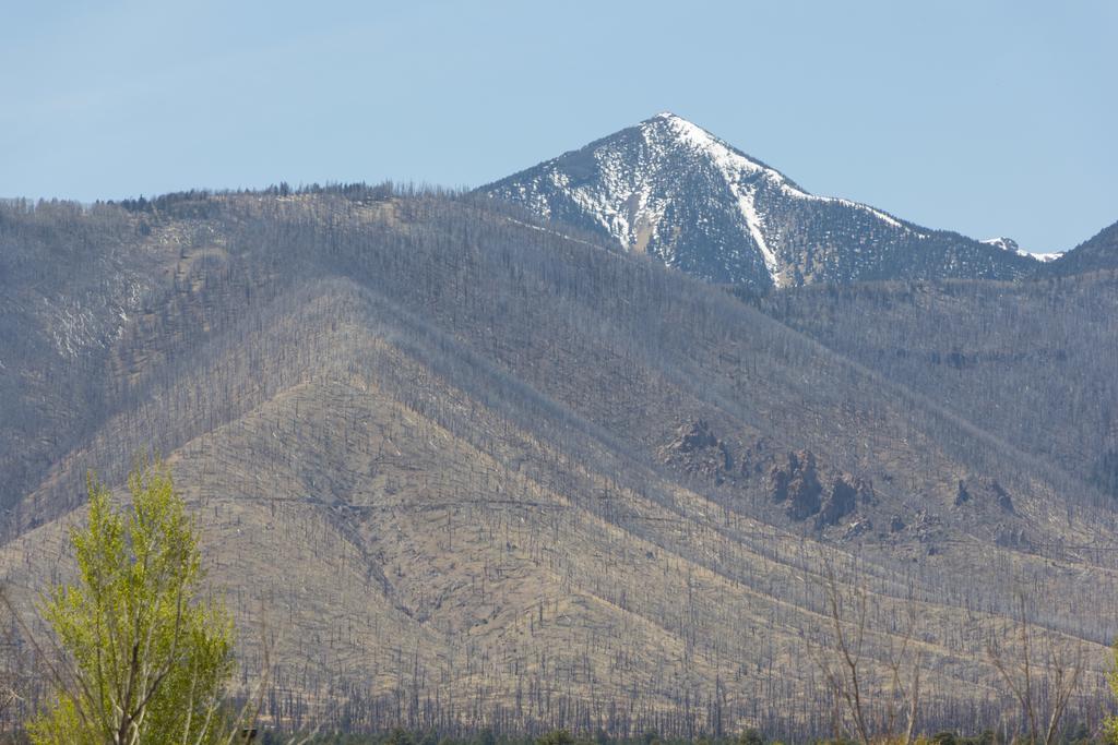 Mountain View - Grand Canyon * Flagstaff
