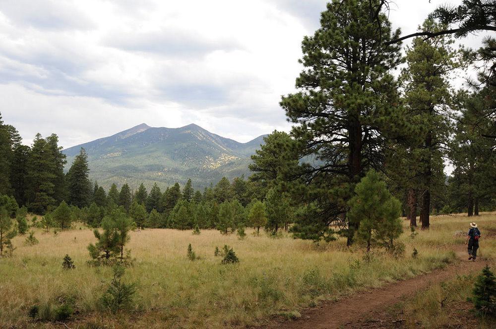Elden Trails 3*