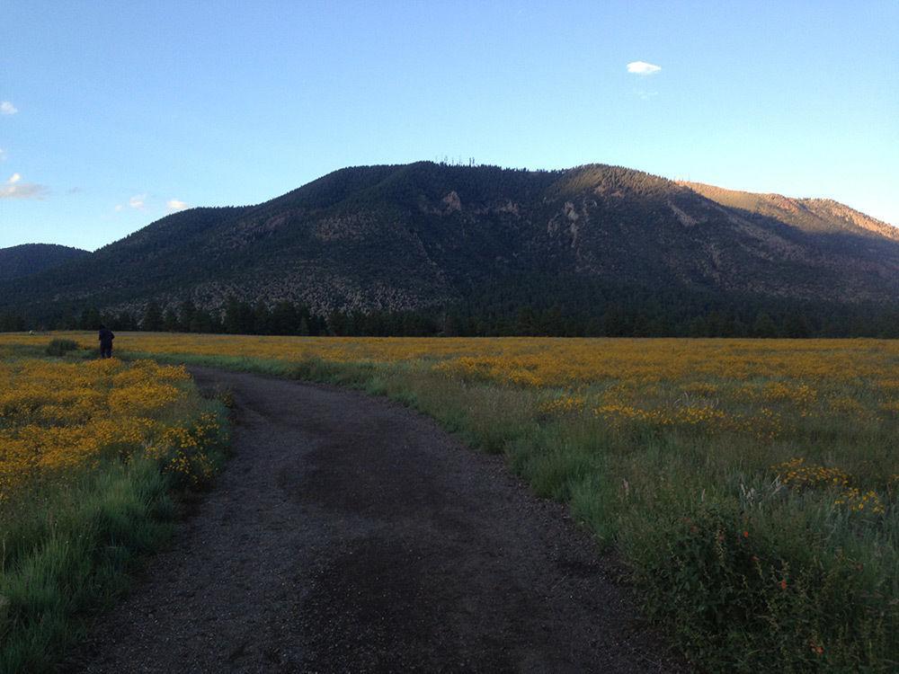 Elden Trails 3* Flagstaff