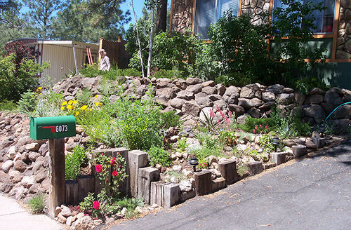 Bed & Breakfast Elden Trails Flagstaff